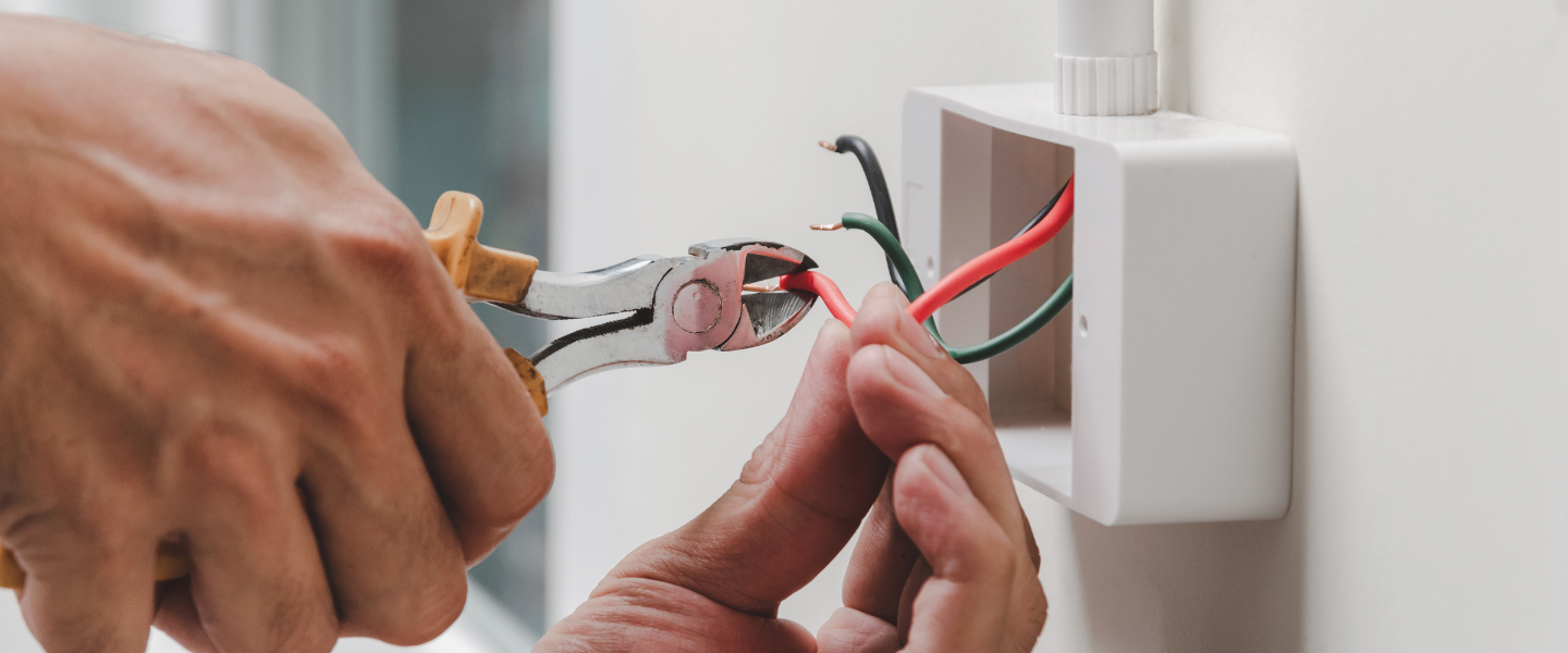 Domestic Electricity